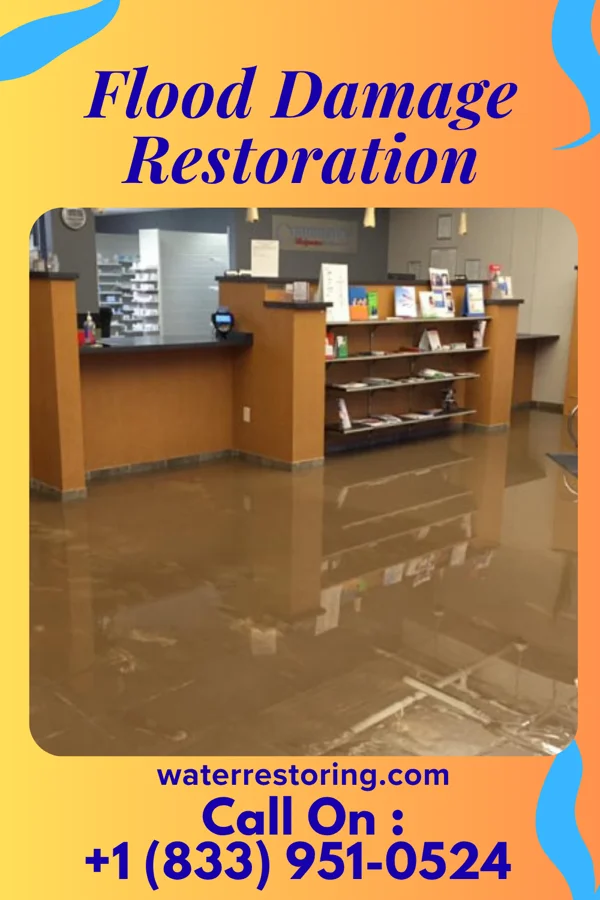 Flood Damage Restoration in Seaman, OH