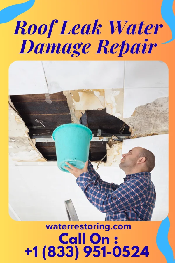 Roof Leak Water Damage Repair in Seaman, OH