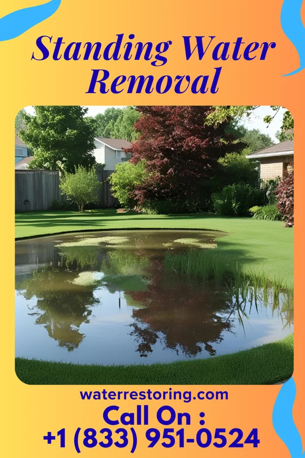 Standing Water Removal in Seaman, OH